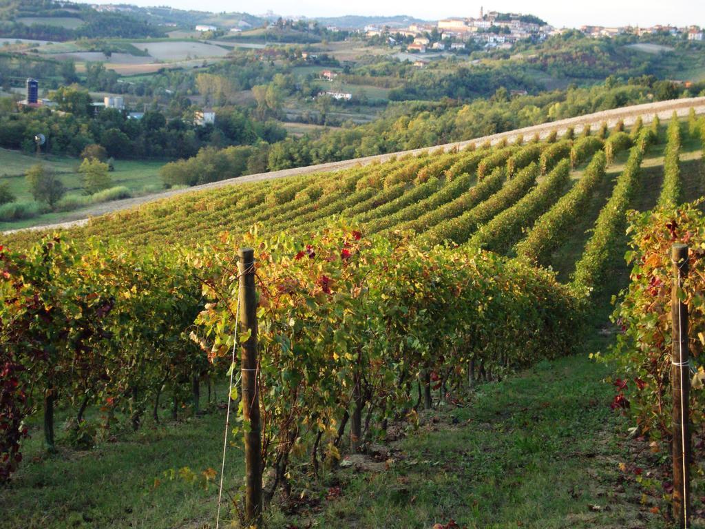La Commedia Della Pentola ξενώνας Lu (Piedmont) Εξωτερικό φωτογραφία
